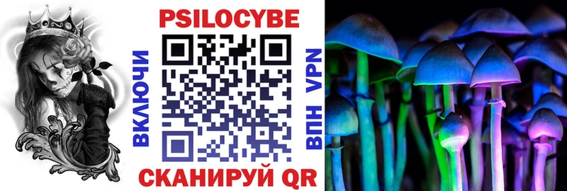 Купить  Новотитаровская  Галлюциногенные грибы Psilocybe 